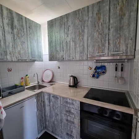 Curcic Apartment Vrdnik