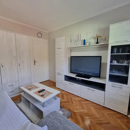 Apartment Curcic Vrdnik