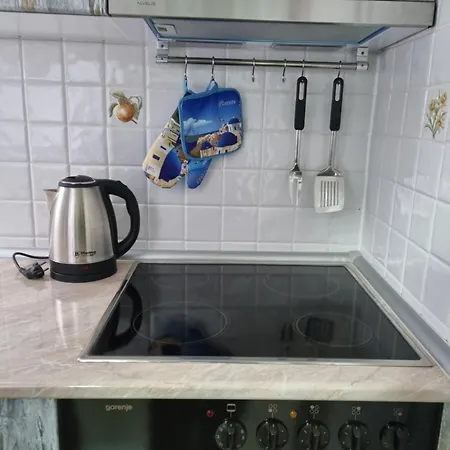 Apartment Curcic