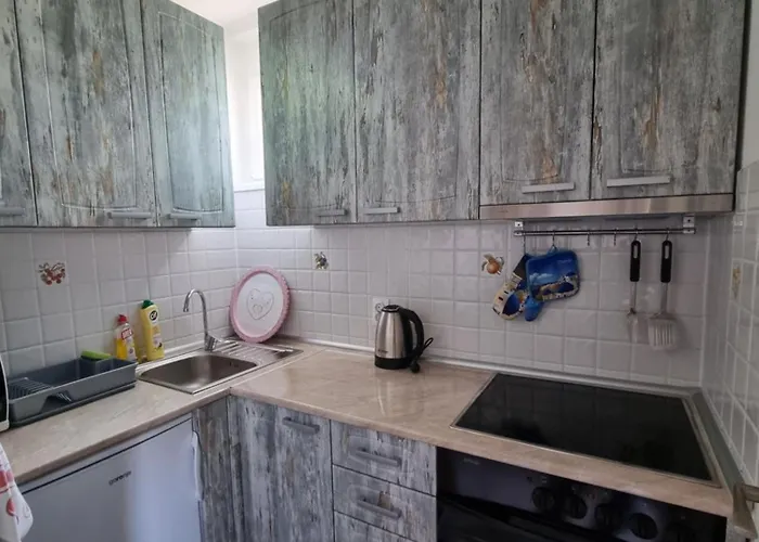 Curcic アパート ヴルドニーク